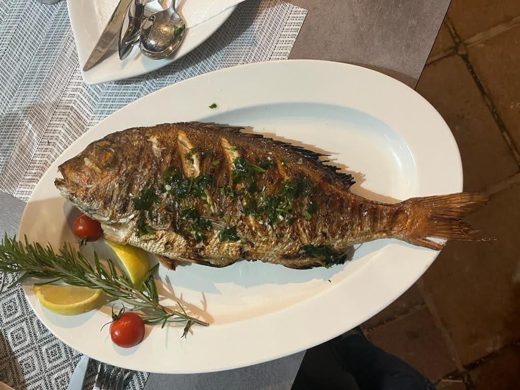 Vila Nataly Trogir Dış mekan fotoğraf